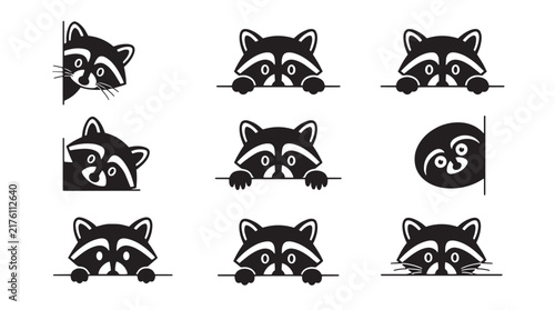 Set of cute raccoon peeking icons, black and white vector illustrations of curious forest animals hiding behind edges and borders for creative design projects on transparent background