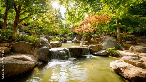 Serene Japanese Autumn Garden with Cascading Waterfalls, Colorful Foliage and Peaceful Pond in Relaxing Nature Video