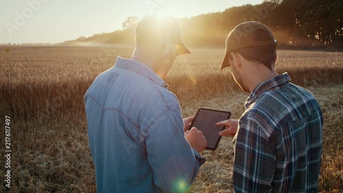 Farmers inspect wheat field digital data on tablet at back sunset