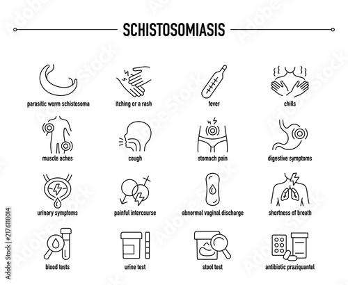 Schistosomiasis symptoms, diagnostic and treatment vector icon set. Line editable medical icons.