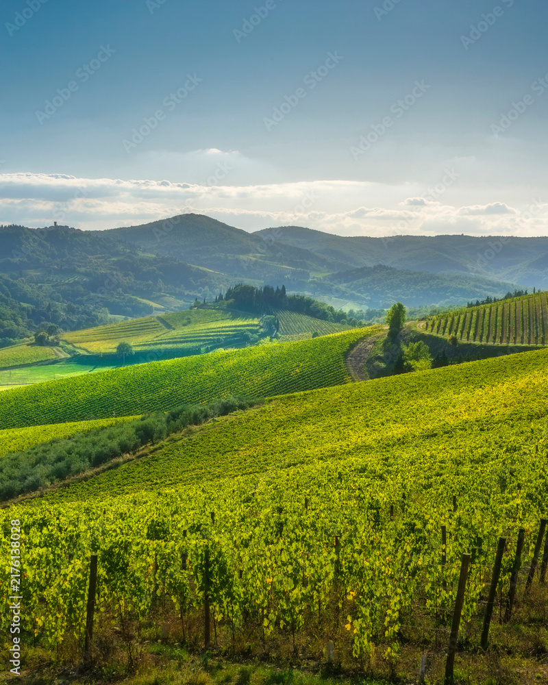 Obraz premium Chianti Vineyards and Radda in Chianti Village View Tuscany