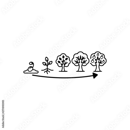 Growth Stages Show Progressive Plants From Seedling To Mature Tree