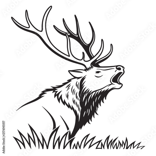 Black and white line art illustration of a roaring elk with large antlers in grass with graphic illustration depicts roaring while standing with stylized black
