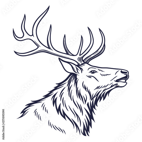 A detailed line art illustration of a majestic elk head profile isolated on white background with head impressive antlers stylized black white