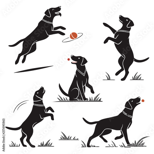 Set of black labrador retriever silhouettes playing with balls and jumping on white background with silhouettes various playful