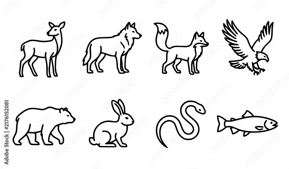 Fototapeta premium Simple line art illustration of various north american wildlife animals and creatures
