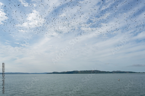 Vast flock of starlings swirls across a cloudy sky over a tranquil lake