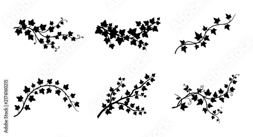 Black Ivy Vine Vector Ornaments, Decorative Leafy Swirls and Flourishes, Elegant Botanical Elements for Design