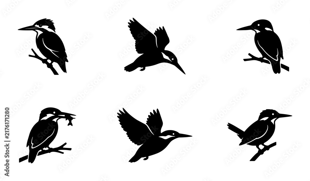 Fototapeta premium Kingfisher Bird Silhouettes, Vector Icons Set: Perched, Flying, Hunting with Fish, Minimalist Black and White Graphics for Wildlife and Nature Designs