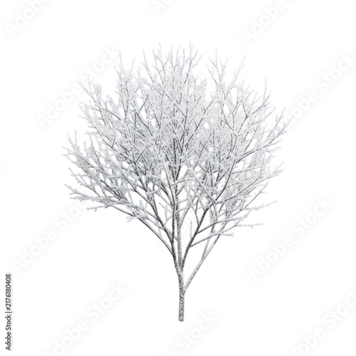 Ultra-realistic, high-detail flat lay of a solitary winter shrub, intricate snow-dusted branches isolated on a transparent background with copy space, clean graphic clarity concept
