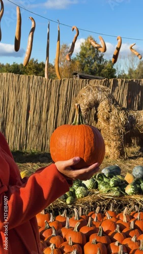 Mid-shot of person cradling medium orange pumpkin with both hands at chest level while wearing bright orange coat and teal collar, fingers interlaced under pumpkin indicate steadying or presenting