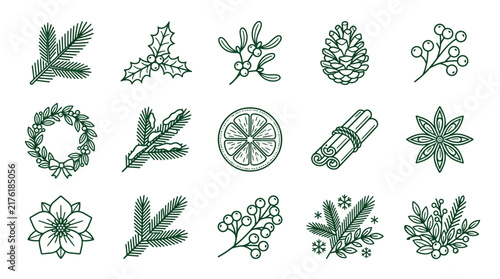 A collection of Christmas holiday elements and winter botanical illustrations.