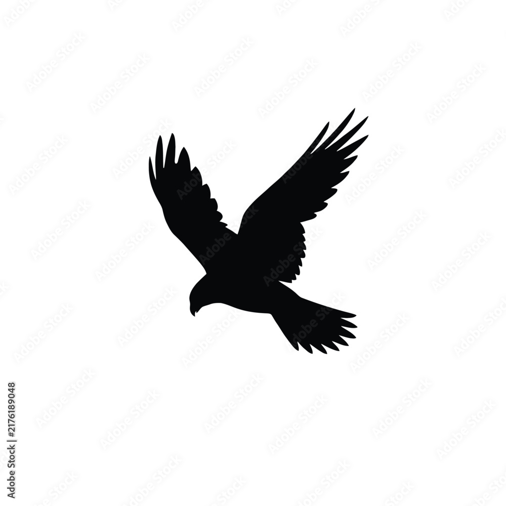 Fototapeta premium A black silhouette of a soaring eagle against a white background