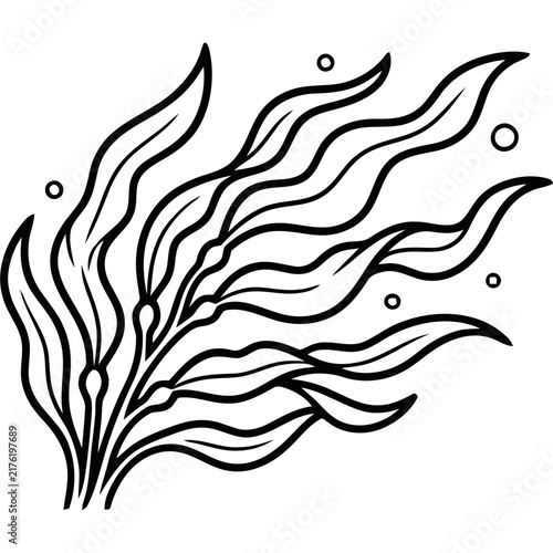 Kelp seaweed outline illustration. Marine plant line art for ocean design projects.