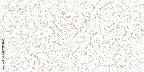 Cuadro en lienzo Minimalist topographic map design