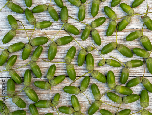 Green Acorns Scattered On Whitewashed Wooden Boards From Above