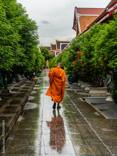 Fotografía in the rain - im Regen