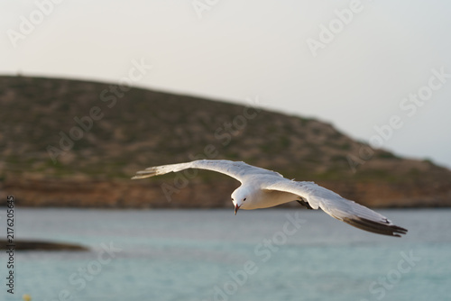 Viaggio in crociera nel mediterraneo toccando Barcellona, Marsiglia, Ibiza, Palermo