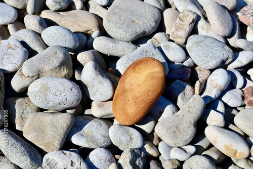 Картината върху платно a single orange stone standing out among smooth grey beach pebbles