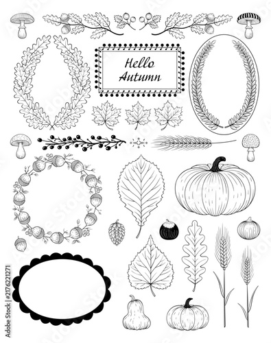 Autumn line art design elements hand drawn vector set.
