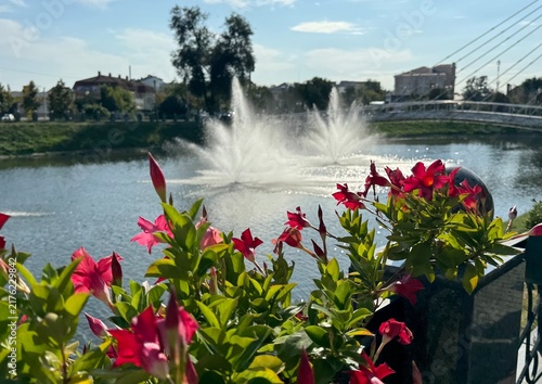 Flowers on the embankment near the fountains in the river