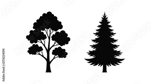Deciduous tree and coniferous tree silhouettes against a white background