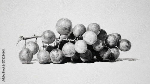 Detailed graphite drawing of a grape bunch with realistic shading on a white background