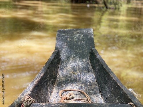 Quadro su tela Prow of a Wooden Boat Navigating Turbid Swamp Water