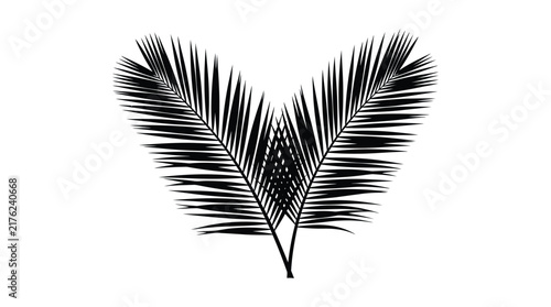 Coconut leaf silhouette against a white background displays tropical foliage