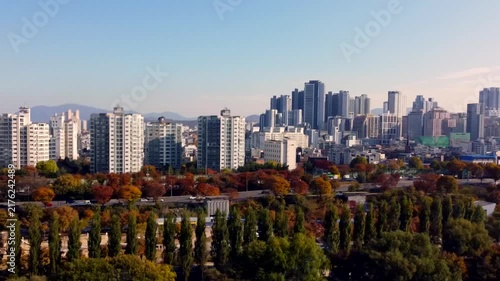 Dense city skyline stretches beyond colorful autumn parkland with modern apartment towers and moving traffic. Urban architecture meets fall foliage in scenic metropolitan landscape.