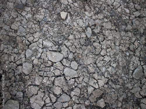 Canvastavla Dry soil cracks widen under harsh sun