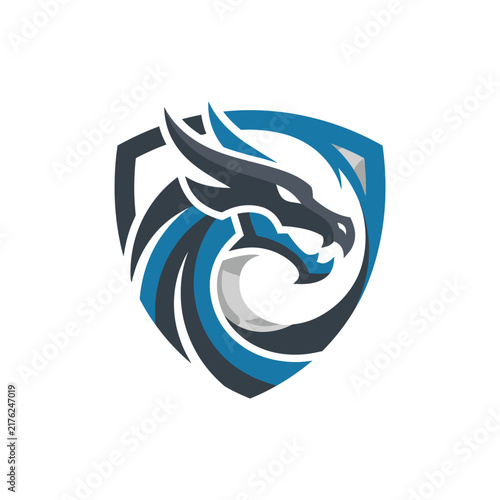 A stylized blue and black dragon head emblem set inside a protective shield.