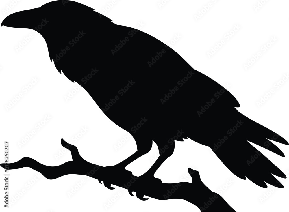 Fototapeta premium Raven on branch silhouette vector. Crow perching vector icon