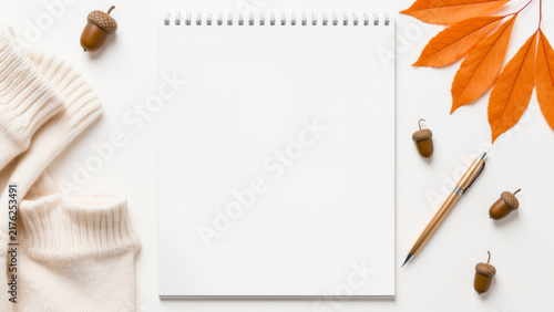 Open blank notebook surrounded by soft autumn leaves and warm neutral stationery creating a calm seasonal planning scene for journaling organization ideas and thoughtful reflection