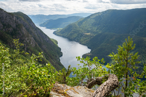 Canvas Print Scenic landscape view from a high lookout point over a long river fjord surrounded by steep green mountains and pine forests under a cloudy sky