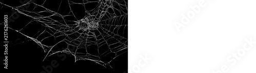 Realistic spider web overlay with black preview and transparent PNG version, ready for Halloween design, horror editing and spooky compositions.