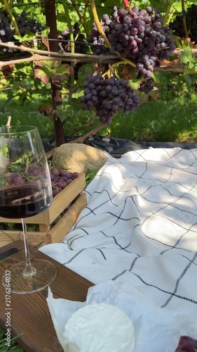 Red Wine Glass With Cheese And Grapes In Vineyard Video