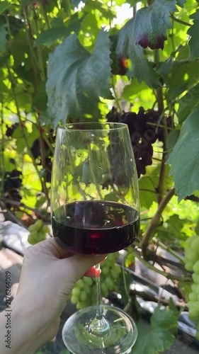 Close Up Of Woman Hand Holding Red Wine Glass Video