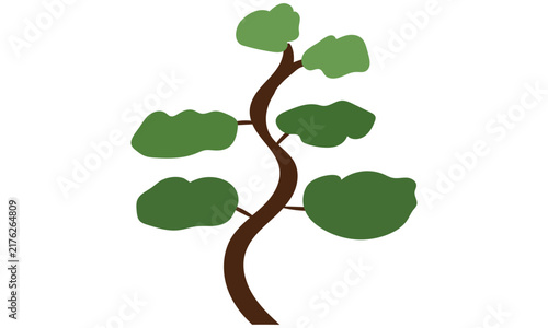 Curved trunk bonsai tree flat vector illustration