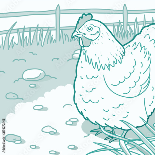 Chicken hen vector sketch