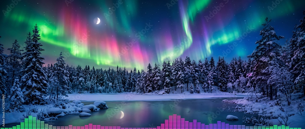 Obraz premium Vibrant aurora borealis over a frozen winter forest with audio visualizer