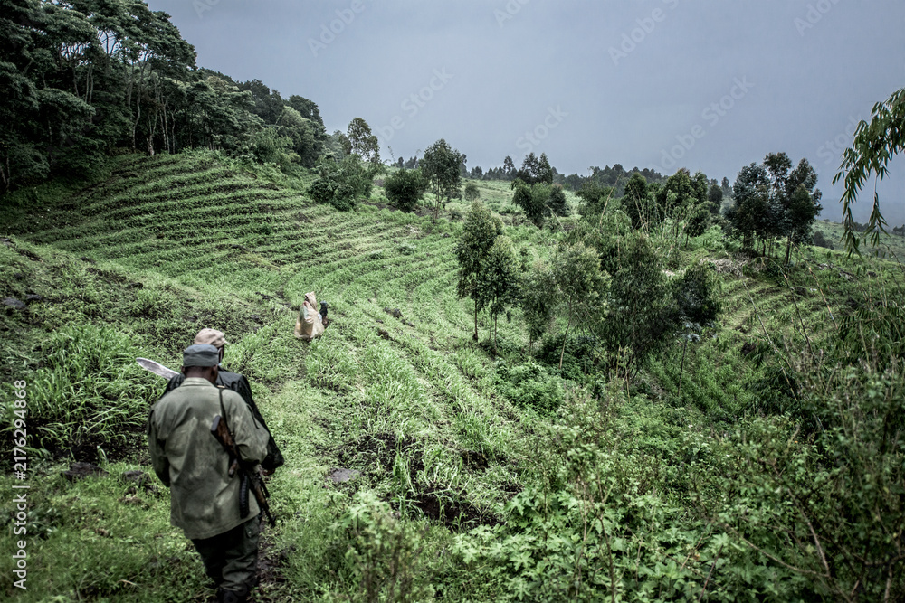 Naklejka premium Rangers patrolling virunga national park engaging conservation efforts