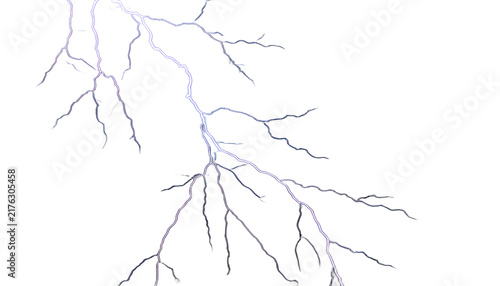 tree roots isolated on white