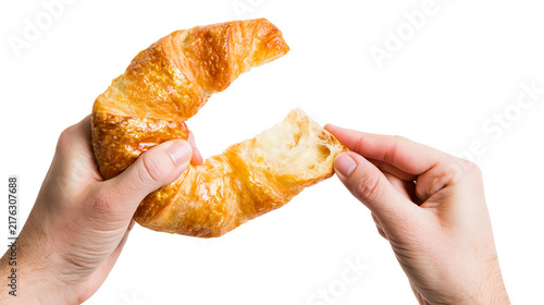 Quadro su tela Hands pulling apart a fresh golden brown buttery flaky croissant