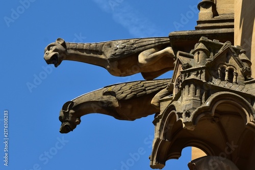 Gargouilles sur la façade de la cathédrale Saint-Etienne de Metz