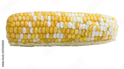 фотографія Fresh bicolor sweet corn cob with yellow and white kernels
