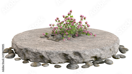 Pink clover flowers growing on a large flat circular stone with river pebbles
