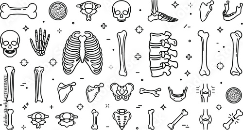 Foto Human skeleton bone line icon set containing anatomy elements like skull spine r