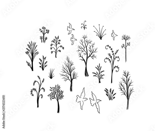 Set of trees, hand drawn sketches on white background