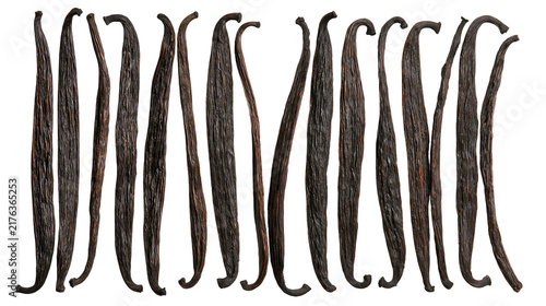 Принти на полотні Dried dark brown vanilla bean pods arranged in a vertical row